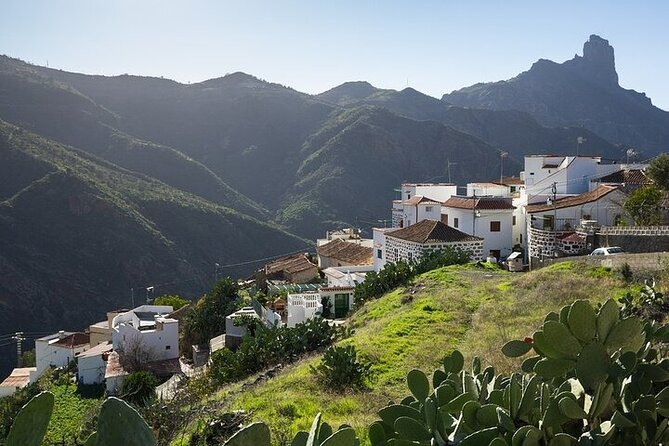 Tour to Guayadeque, Firgas, Fataga - VIP - Who this tour fits best (and who should skip it)