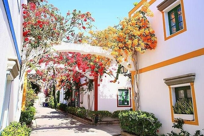 Visit Puerto de Mogan and Its Market with One Way Boat Ride - Key Points to Know Before You Go