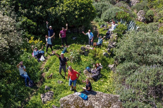 Wanderungen im grünen Gran Canaria - Key things to know before you lace up