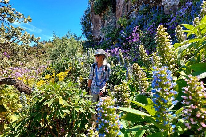 Wanderungen im grünen Gran Canaria - Why January to May Flowers Drive This Gran Canaria Day