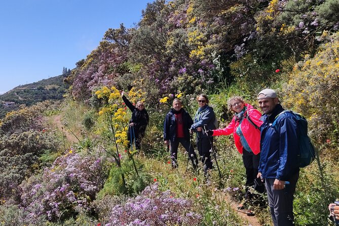 Wanderungen im grünen Gran Canaria - How the Friday route works when the blooms change