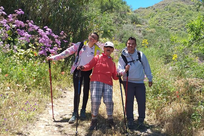 Wanderungen im grünen Gran Canaria - Price and value: is $75.24 a fair deal?